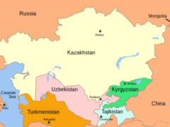 India’s premier non-government think tank published Anatoly Motkin’s op-ed about Central Asia’s protection from the Afghan scenario